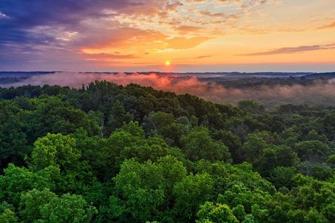 Sunset over a forest